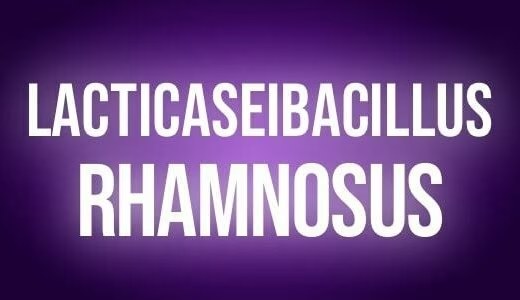 Lacticaseibacillus
