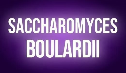 Saccharomyces boulardii