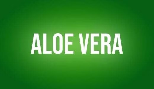 Aloe vera