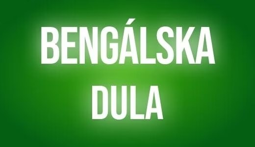 Bengalska dula