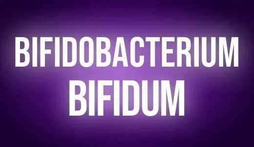 Bifidobacterium bifidum