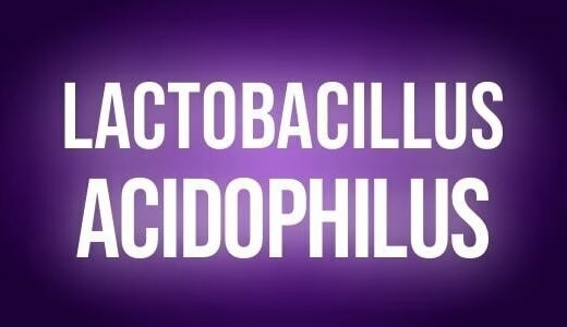 Lactobacilus acidophilus
